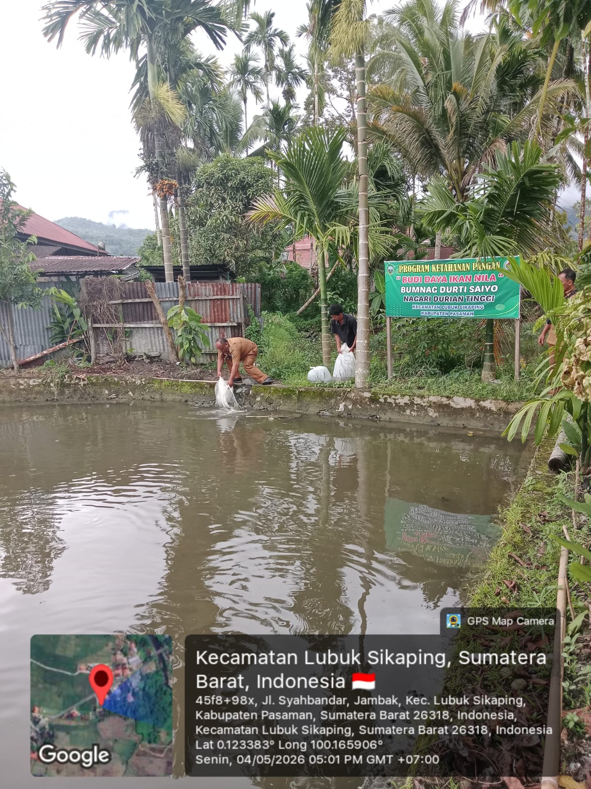 BUMNAG Durti Saiyo Tebar 10.000 Bibit Ikan Nila dan Tongsan untuk Perkuat Ketahanan Pangan